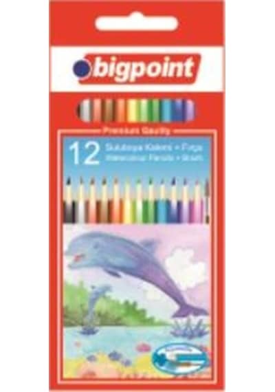 Sulu Boya Kalemi 12 'li Fırça - Bigpoint