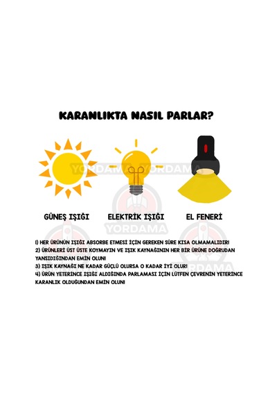 Temungur 5'li Karanlıkta Parlayan Mini Kaplumbağa Figürleri Çok Renkli