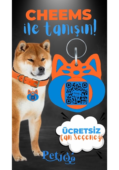 Petjoo 18.Cheems Mavi-Turuncu Qr'lı Köpek Künyesi