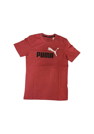 Puma Ess 2 Col Logo Tee Erkek Tshirt Pembe