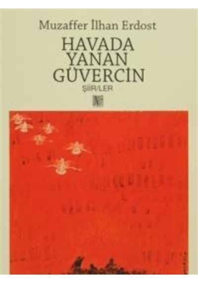 Havada Yanan Güvercin
