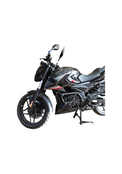 Bajaj Pulsar N 250-F 250 Takozlu Motor Koruma Demiri
