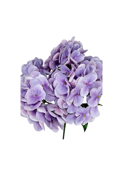 Yapay Çiçek Islak Ortanca Çiçeği Lila 45cm 5dal Islak Gerçeksi Dokulu Lila