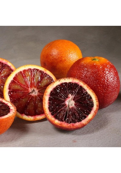 Tüplü Aşılı Blood Orange Içi Dışı Kırmızı Portakal Fidanı