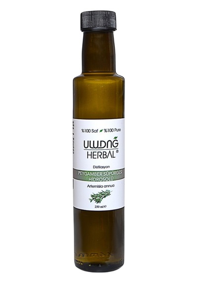Peygamber Süpürgesi Hidrosolü 250 Ml