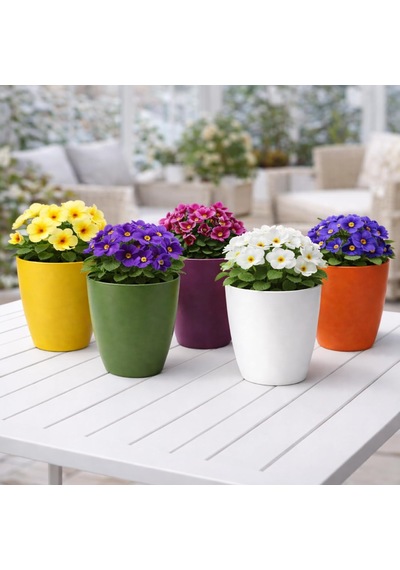 Kırılmaz Plastik Dekoratif Farklı Renkte Balkon Orkide 5 Adet Bitki Saksı Seti Orkide Saksısı Diğer