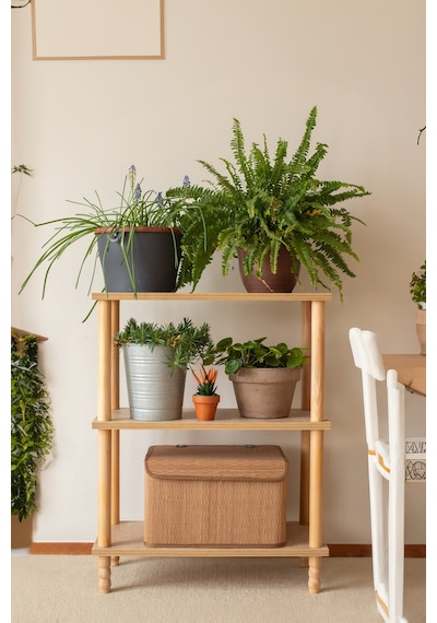 Concept 2 Raflı Organizer Kitaplık Banyo Mutfak Dolabı Balkon Ofis Düzenleyici Ahşap Nature Concept 2 Raflı Organizer Kitaplık Banyo Mutfak Dolabı Balkon Ofis Düzenleyici Ahşap Nature