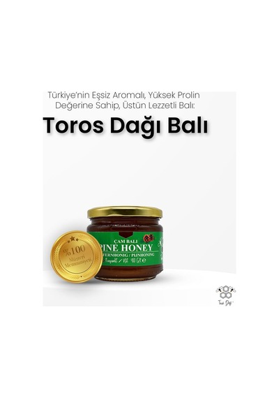 Toros Dağı Çam Balı Süzme 400 G
