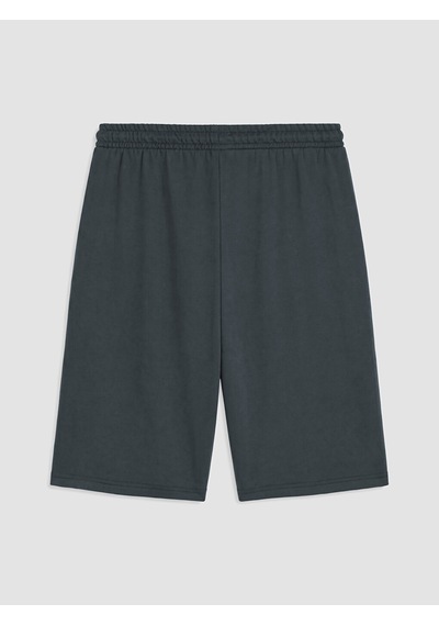 Lc Waikiki Lc Waıkıkı Gri Regular Fit Erkek Şort