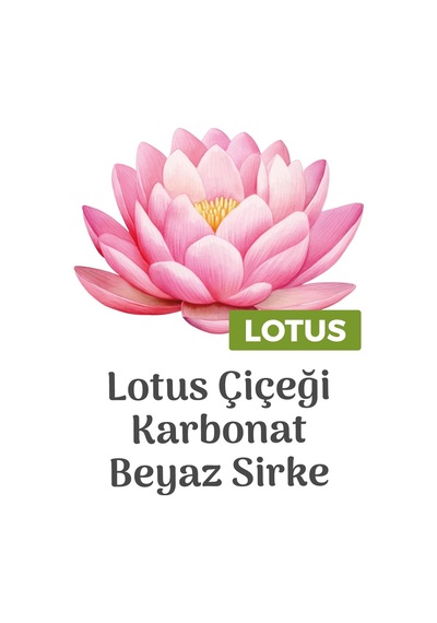 Easy Clean Lotus Çiçeği Kokulu Yüzey Temizlik Havlusu 6x100 600 Yaprak Belirtilmemiş
