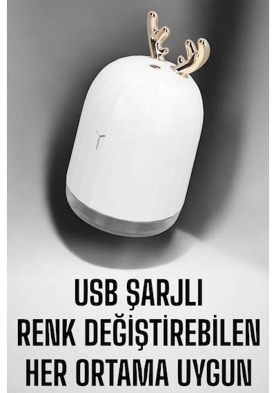Aromaterapi Hava Temizleyici Buhar Makinesi Taşınabilir Şarjlı