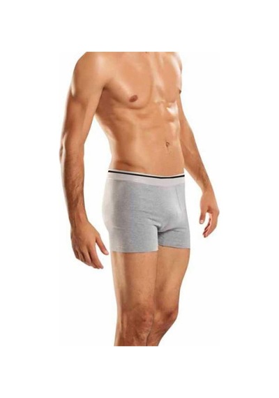 Hepsine Rakip 3 Lü Berrak Erkek Likralı Boxer Külot 1097 Gri