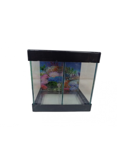 Betta Akvaryumu İki Bölmeli 20 Cm 5 Litre Siyah Renk