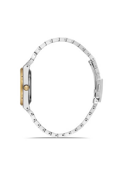 Ferro Fl21495a-d Quartz Çelik Altın/gri 32 Mm Kadın Kol Saati Gri