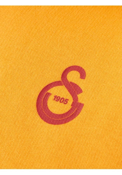 Gsstore Galatasaray Puma Çocuk Fermuarlı Kapüşonlu Sweatshirt 78291506 Sarı