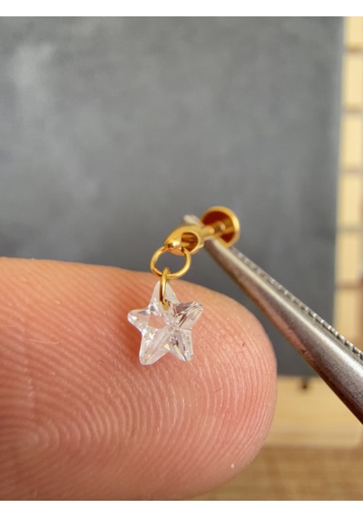 Yüksek Kalite G23 Titanium Sallantı Yıldız Zirkon Titanyum 6x1.2mm Labret Piercing Altın