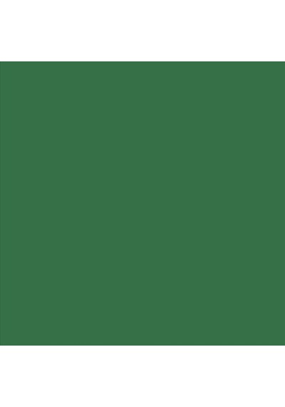 Rembrandt Yağlıboya - 40 ML - Chromium Oxide Green - S3 - N.668