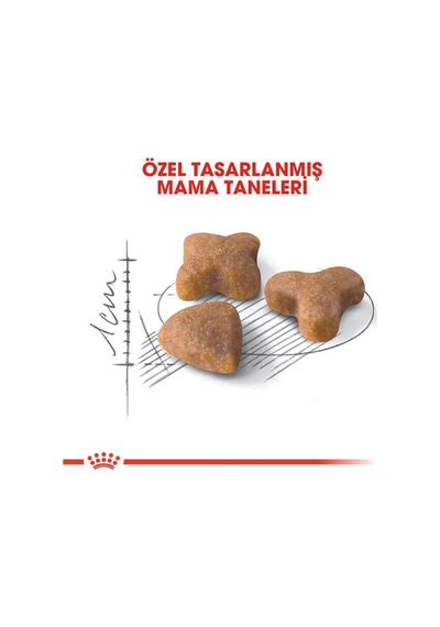 Sensible 33 Hassas Yetişkin Kedi Maması 400+400 Gr Hediyeli