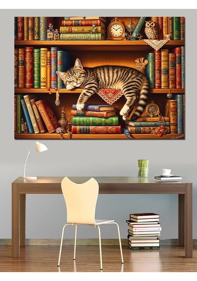 Ahşap Tablo Kitaplık Raflarında Gezinen Meraklı Kedi