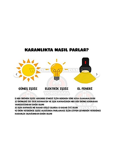 Minyatür Dinazor 2 Adet Akvaryum Süsü Karanlıkta Parlayan Saksı Teraryum Süs Obje