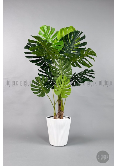 Biçiçek Yapay Monstera Ağacı Deve Tabani 160 Cm Beyaz Luna Saksıda