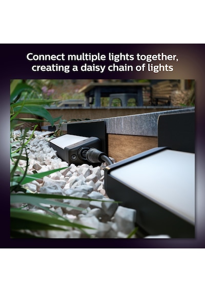 Philips Hue Amarant WACA