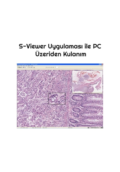 Triline 2000x Zoom Biyolojik Hd Dijital Monoküler Mikroskop Kiti