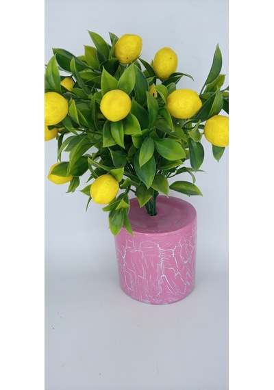 Yapay Limon Ağacı Pembe Çatlatma