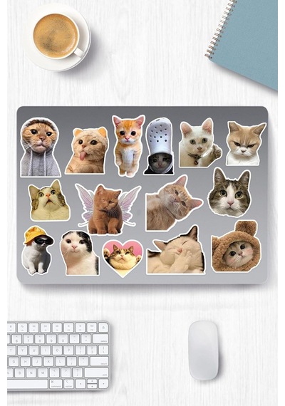 Kedi Temalı Sticker Telefon Laptop Notebook Tablet Defter Matara Stiker Etiket 1