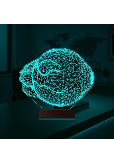 Luvivia Göz Doktoru Hediye 3d Lamba - Masa Gece Lambası Şeffaf
