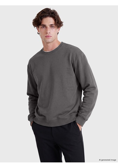 Lcw Vision Gri Bisiklet Yaka Erkek Kalın Sweatshirt