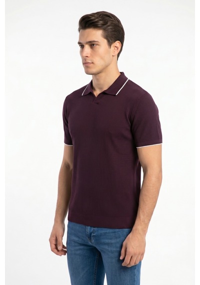 Baglan Erkek Spor Polo Yaka Triko Tişört Bgl-st05374 Mürdüm