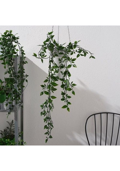 Ikea Fejka Yapay Bitki, Yeşil, 9 Cm, İç-dış Mekan Sarmaşık