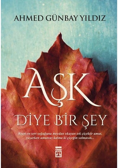 Aşk Diye Bir Şey Ahmed Günbay Yıldız