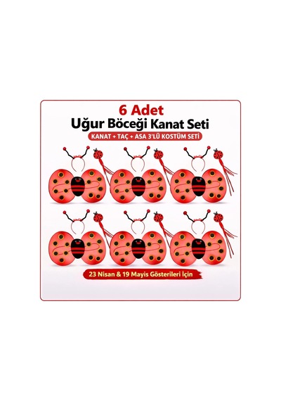 639lı Uğur Böceği Kostüm Seti Kanat Taç Asa 1