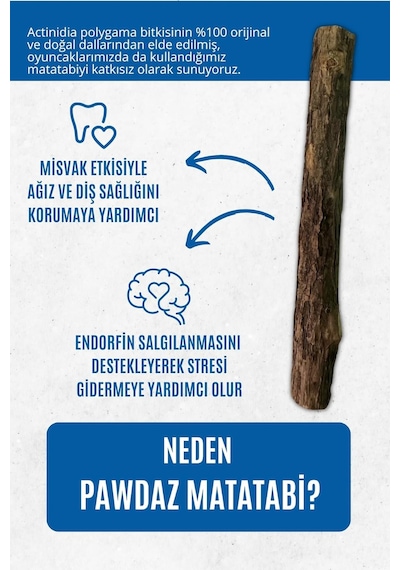 Matatabi - Stick Diş Temizlemeye Ve Stres Gidermeye Yardımcı Doğal Oyuncak