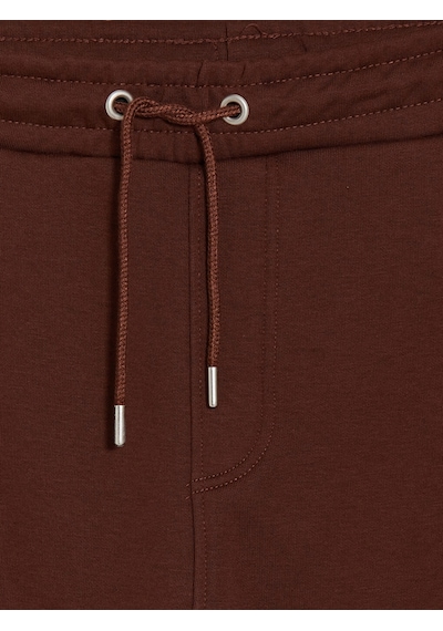 Lcwaıkıkı Classic Kahverengi Regular Fit Erkek Jogger Eşofman Altı