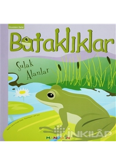 Bataklıklar - Sulak Alanlar - Ekosistem Serisi