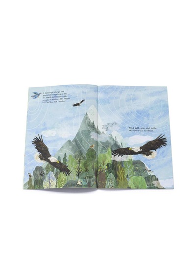 The Big Sticker Book Of Birds