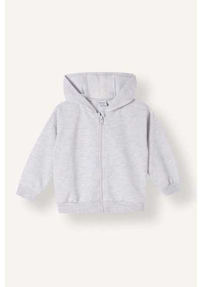 Defacto Kapüşonlu Fermuarlı Sweatshırt Hırka Erkek Bebek E8697a526augr396 Gri-gr396
