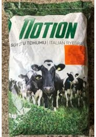 RyeGRass Tohum Süt Otu Tohumu 3 KG