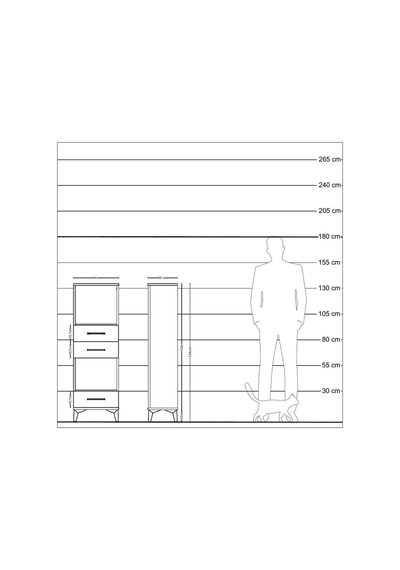 Arges Dolap 2 Raflı 3 Çekmeceli 44x30x134 Antrasit-aytaşı Antrasit