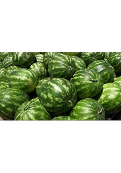 Crımson Sweet Tatlı Karpuz Tohumu 100+ Tohum N118205