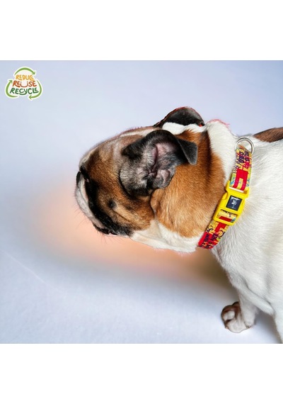 Köpek Boyun Tasması Geri Dönüştürülmüş, Ayarlanabilir, Emniyet Tokalı Küçük Ve Büyük Irklar İçin Tüy Toplamaz, Yıkanabilir, Airtag & İsimlik Uyumlu, Sarı, Large