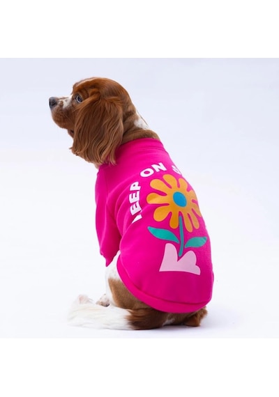 Pawstar Pembe Lahti Polarlı Küçük Irk Köpek Sweatshirtü