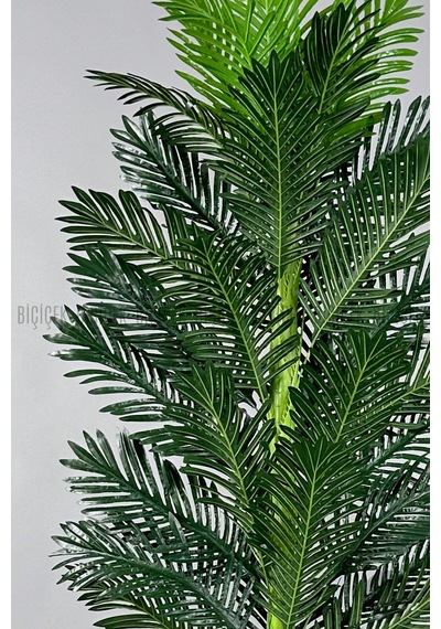 Yapay Areka Ağaci 220 Cm Si Yah Li Lyum Saksıda Siyah