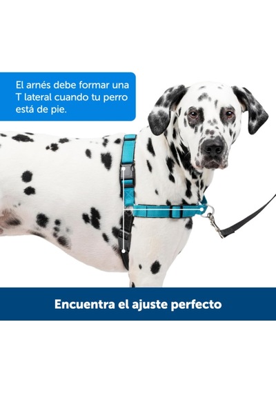 Deluxe Easy Yürüyüş Kemeri Mavi Köpek Göğüs Tasması Küçük 38-51 Cm