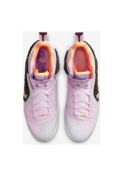 Nike Lebron Retro Ix Regal Pink And Velvet Brown Dj3908-600 Pembe Pembe