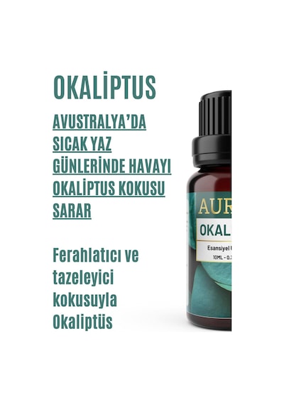 Auran Okaliptus Esansiyel Uçucu Yağı 10 ML