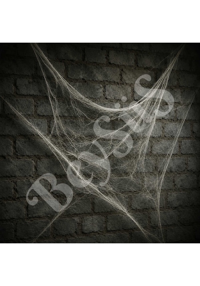Beysüs Halloween Örümcek Ve Ağ Seti Beyaz Tüm Yaşlar